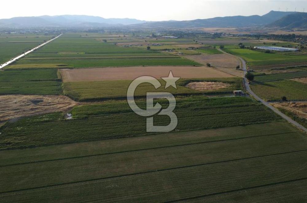 GERENKÖYDE SATILIK 2880m2 YOLA CEPHE TARLA