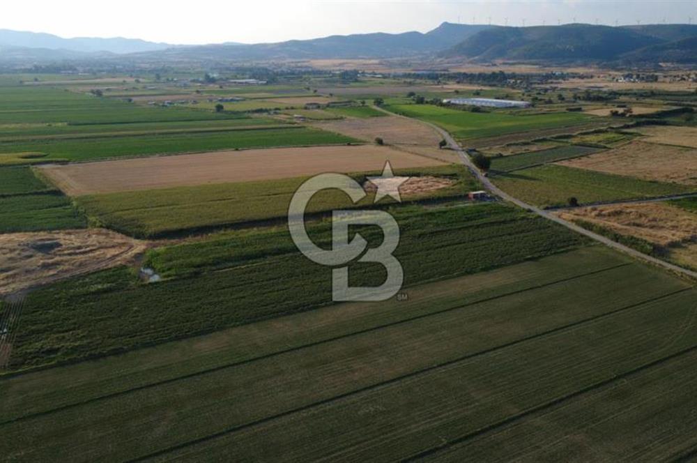GERENKÖYDE SATILIK 2880m2 YOLA CEPHE TARLA