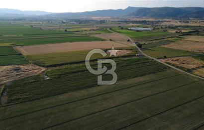 GERENKÖYDE SATILIK 2880m2 YOLA CEPHE TARLA