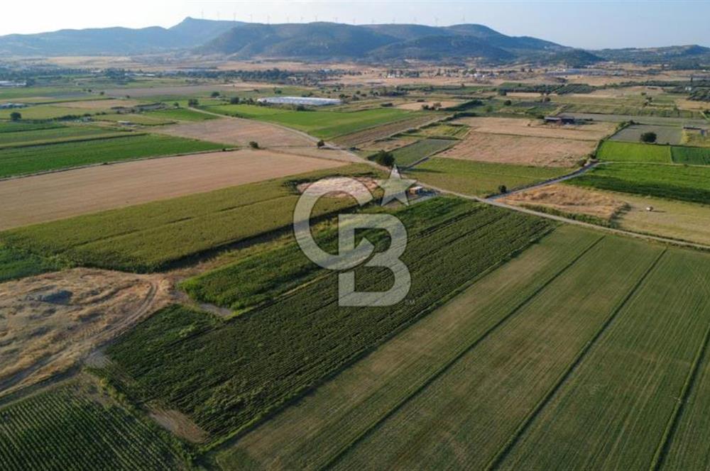 GERENKÖYDE SATILIK 2880m2 YOLA CEPHE TARLA