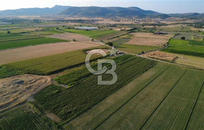 GERENKÖYDE SATILIK 2880m2 YOLA CEPHE TARLA