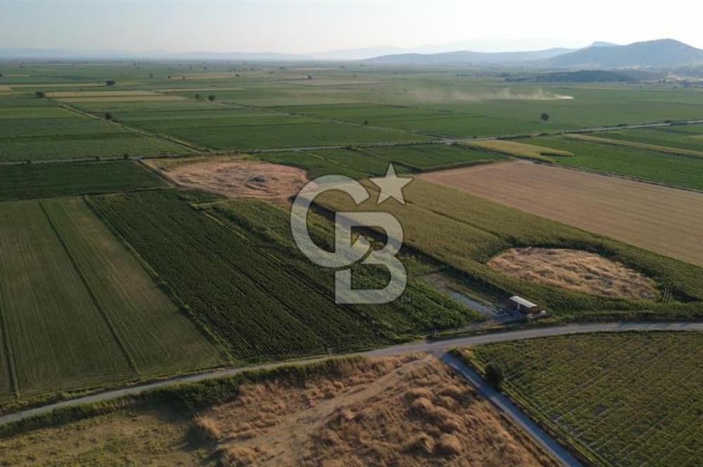 GERENKÖYDE SATILIK 2880m2 YOLA CEPHE TARLA