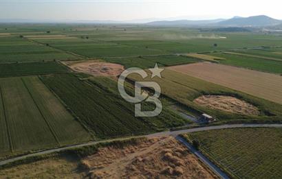 GERENKÖYDE SATILIK 2880m2 YOLA CEPHE TARLA