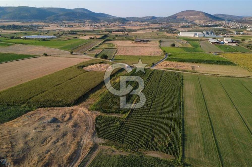 GERENKÖYDE SATILIK 2880m2 YOLA CEPHE TARLA