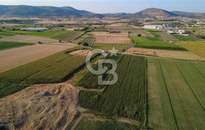 GERENKÖYDE SATILIK 2880m2 YOLA CEPHE TARLA