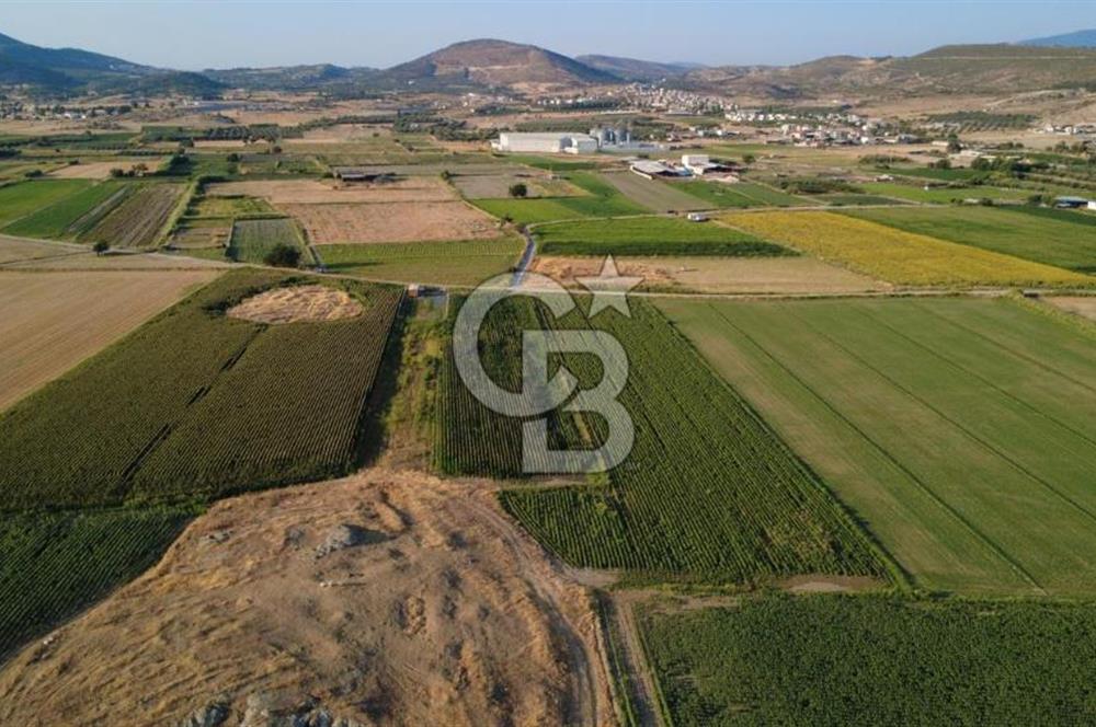 GERENKÖYDE SATILIK 2880m2 YOLA CEPHE TARLA