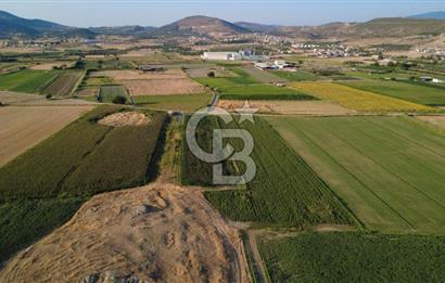 GERENKÖYDE SATILIK 2880m2 YOLA CEPHE TARLA