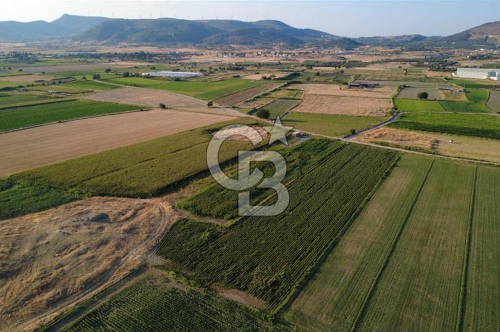 GERENKÖYDE SATILIK 2880m2 YOLA CEPHE TARLA