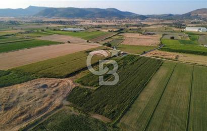 GERENKÖYDE SATILIK 2880m2 YOLA CEPHE TARLA