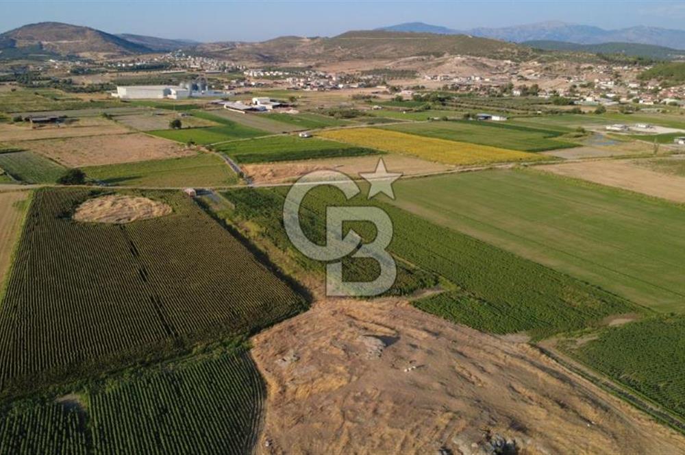 GERENKÖYDE SATILIK 2880m2 YOLA CEPHE TARLA