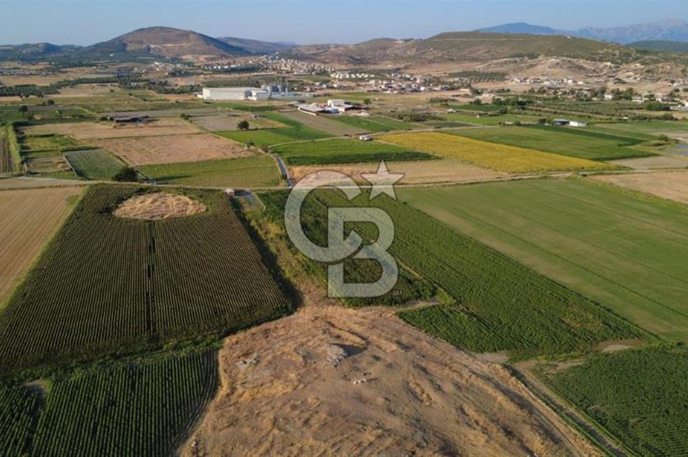 GERENKÖYDE SATILIK 2880m2 YOLA CEPHE TARLA