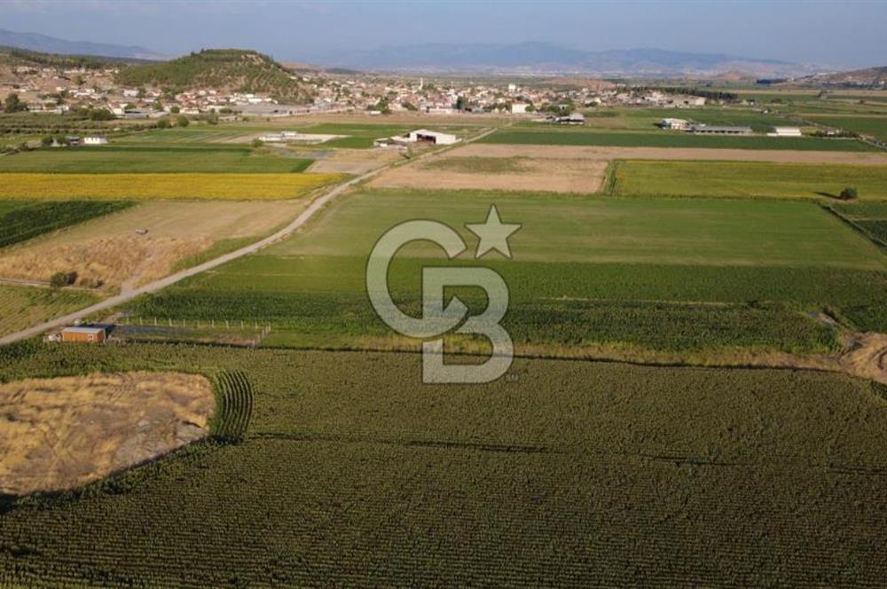 GERENKÖYDE SATILIK 2880m2 YOLA CEPHE TARLA