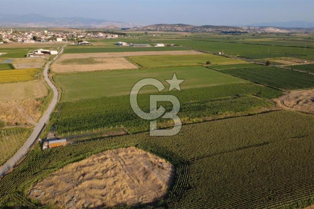 GERENKÖYDE SATILIK 2880m2 YOLA CEPHE TARLA