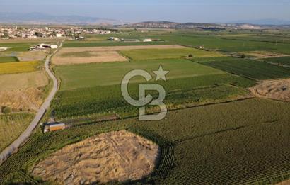 GERENKÖYDE SATILIK 2880m2 YOLA CEPHE TARLA