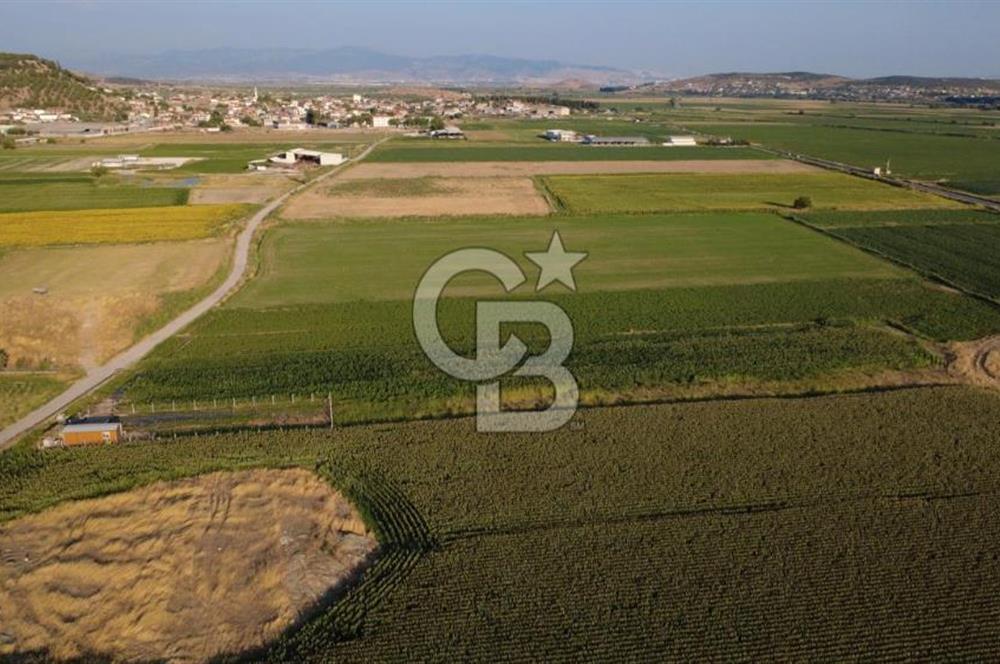 GERENKÖYDE SATILIK 2880m2 YOLA CEPHE TARLA