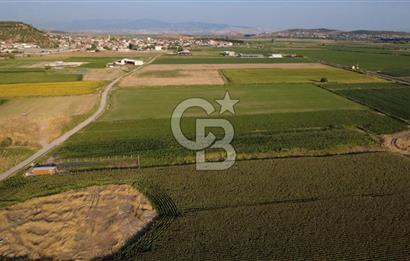 GERENKÖYDE SATILIK 2880m2 YOLA CEPHE TARLA