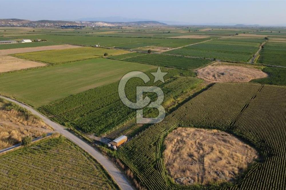 GERENKÖYDE SATILIK 2880m2 YOLA CEPHE TARLA