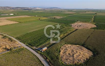 GERENKÖYDE SATILIK 2880m2 YOLA CEPHE TARLA