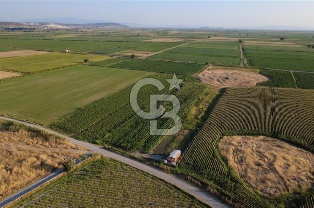 GERENKÖYDE SATILIK 2880m2 YOLA CEPHE TARLA