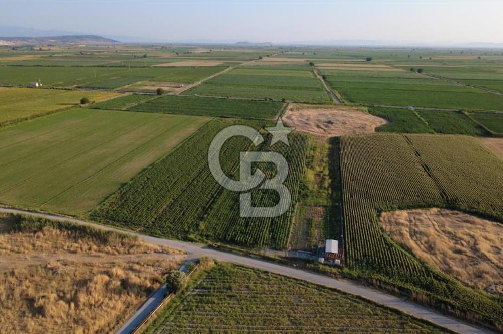 GERENKÖYDE SATILIK 2880m2 YOLA CEPHE TARLA