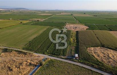 GERENKÖYDE SATILIK 2880m2 YOLA CEPHE TARLA
