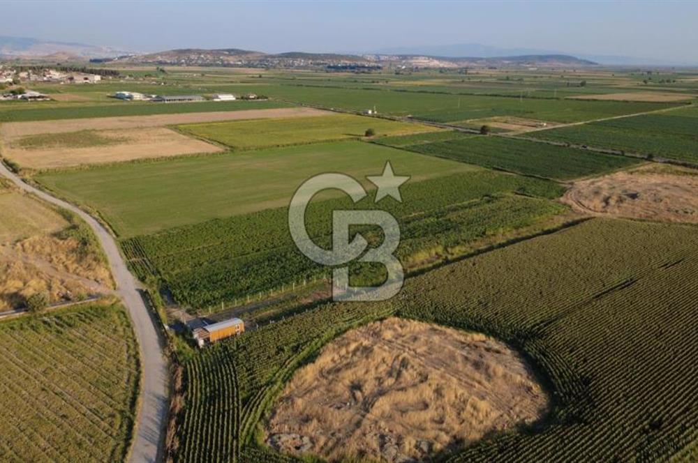 GERENKÖYDE SATILIK 2880m2 YOLA CEPHE TARLA