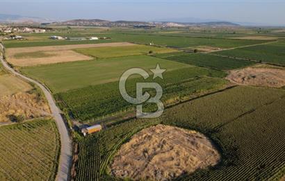 GERENKÖYDE SATILIK 2880m2 YOLA CEPHE TARLA