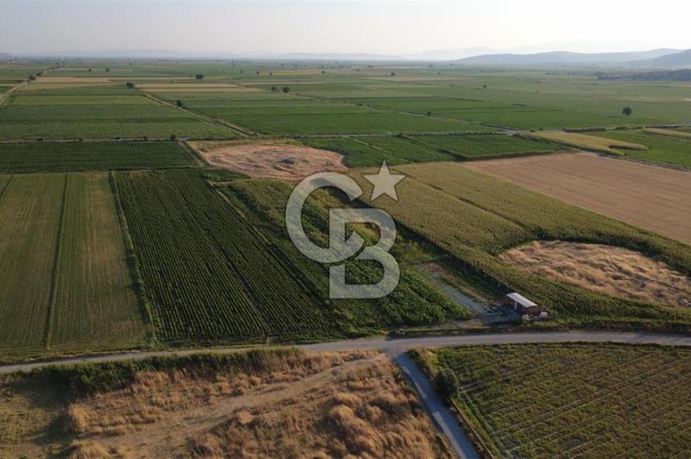 GERENKÖYDE SATILIK 2880m2 YOLA CEPHE TARLA