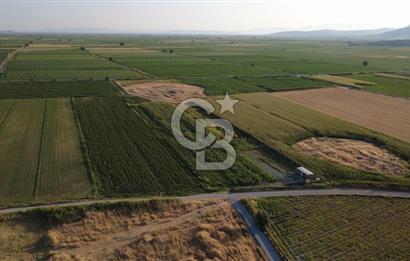 GERENKÖYDE SATILIK 2880m2 YOLA CEPHE TARLA