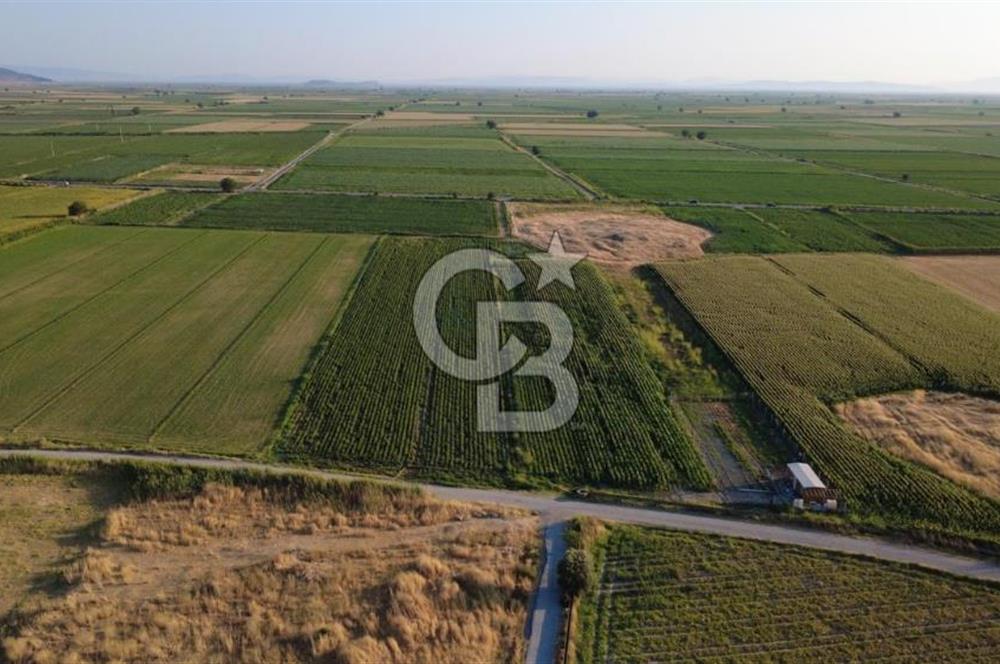 GERENKÖYDE SATILIK 2880m2 YOLA CEPHE TARLA