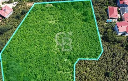 Ordu Perşembe Alınca'da Satılık Konut İmarlı Arsa