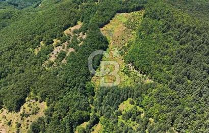 BURSA İZNİK ELMALIDA FIRSAT TARLA