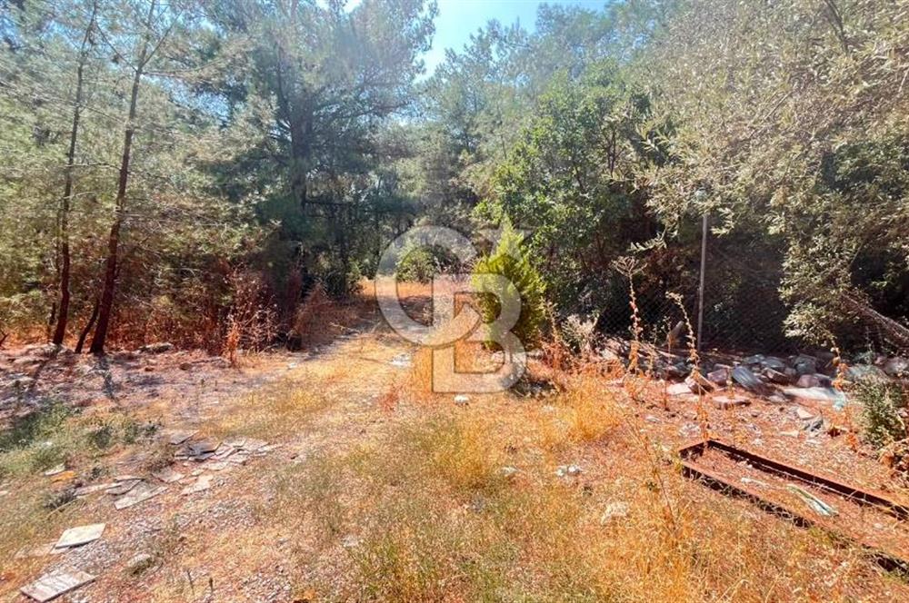 İZMİR BORNOVA ÇİÇEKLİ SINIRINDA | 4.368 m² TEK TAPU ZEYTİNLİK | 160 m² NUMARATAJLI YAPI | ÇİFT KADASTRO YOL CEPHELİ PRESTİJLİ YATIRIM
