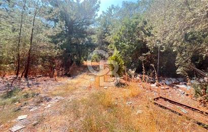 İZMİR BORNOVA ÇİÇEKLİ SINIRINDA | 4.368 m² TEK TAPU ZEYTİNLİK | 160 m² NUMARATAJLI YAPI | ÇİFT KADASTRO YOL CEPHELİ PRESTİJLİ YATIRIM