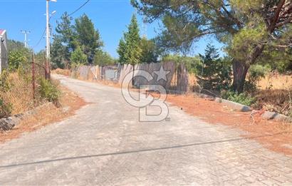 İZMİR BORNOVA ÇİÇEKLİ SINIRINDA | 4.368 m² TEK TAPU ZEYTİNLİK | 160 m² NUMARATAJLI YAPI | ÇİFT KADASTRO YOL CEPHELİ PRESTİJLİ YATIRIM