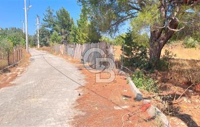 İZMİR BORNOVA ÇİÇEKLİ SINIRINDA | 4.368 m² TEK TAPU ZEYTİNLİK | 160 m² NUMARATAJLI YAPI | ÇİFT KADASTRO YOL CEPHELİ PRESTİJLİ YATIRIM