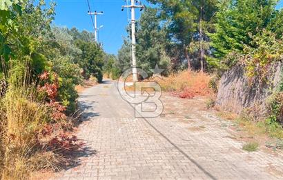 İZMİR BORNOVA ÇİÇEKLİ SINIRINDA | 4.368 m² TEK TAPU ZEYTİNLİK | 160 m² NUMARATAJLI YAPI | ÇİFT KADASTRO YOL CEPHELİ PRESTİJLİ YATIRIM