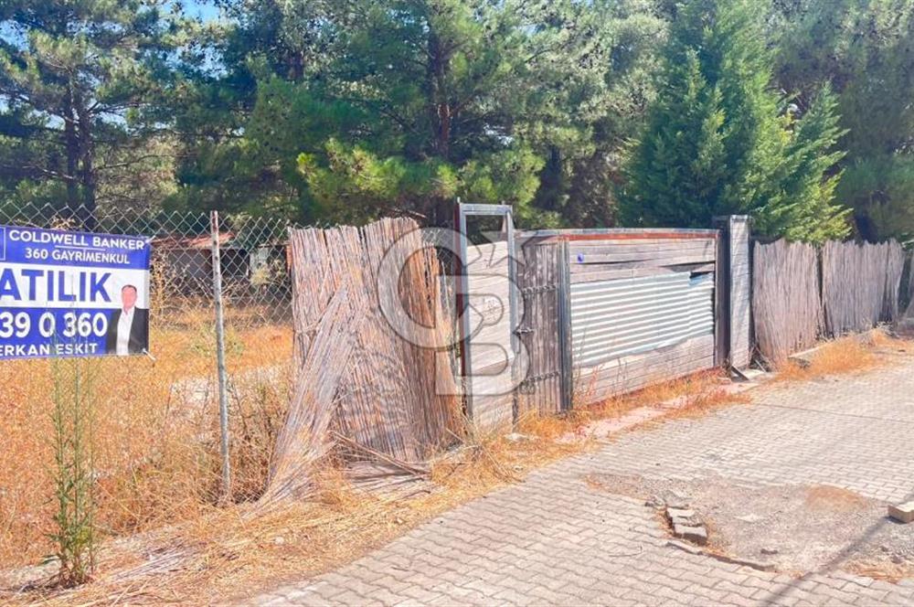 İZMİR BORNOVA ÇİÇEKLİ SINIRINDA | 4.368 m² TEK TAPU ZEYTİNLİK | 160 m² NUMARATAJLI YAPI | ÇİFT KADASTRO YOL CEPHELİ PRESTİJLİ YATIRIM