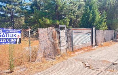 İZMİR BORNOVA ÇİÇEKLİ SINIRINDA | 4.368 m² TEK TAPU ZEYTİNLİK | 160 m² NUMARATAJLI YAPI | ÇİFT KADASTRO YOL CEPHELİ PRESTİJLİ YATIRIM