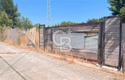 İZMİR BORNOVA ÇİÇEKLİ SINIRINDA | 4.368 m² TEK TAPU ZEYTİNLİK | 160 m² NUMARATAJLI YAPI | ÇİFT KADASTRO YOL CEPHELİ PRESTİJLİ YATIRIM