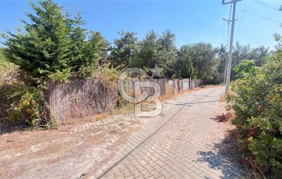 İZMİR BORNOVA ÇİÇEKLİ SINIRINDA | 4.368 m² TEK TAPU ZEYTİNLİK | 160 m² NUMARATAJLI YAPI | ÇİFT KADASTRO YOL CEPHELİ PRESTİJLİ YATIRIM