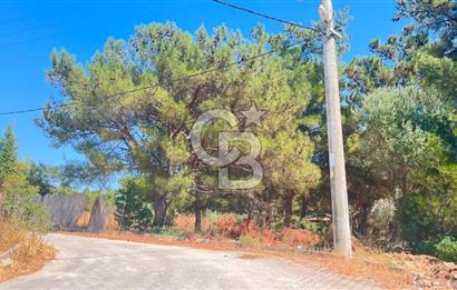 İZMİR BORNOVA ÇİÇEKLİ SINIRINDA | 4.368 m² TEK TAPU ZEYTİNLİK | 160 m² NUMARATAJLI YAPI | ÇİFT KADASTRO YOL CEPHELİ PRESTİJLİ YATIRIM