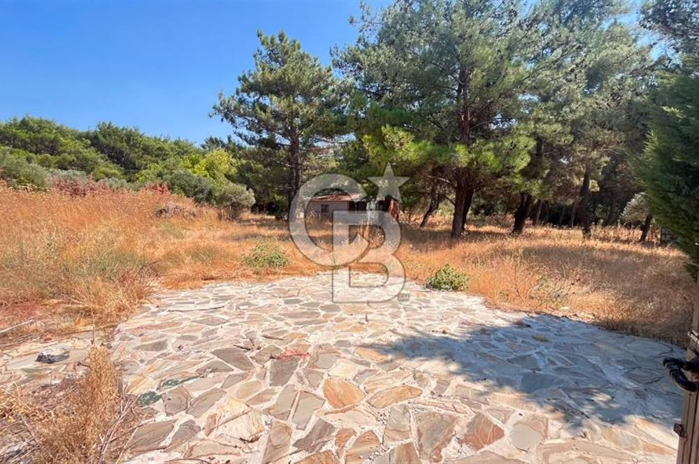 İZMİR BORNOVA ÇİÇEKLİ SINIRINDA | 4.368 m² TEK TAPU ZEYTİNLİK | 160 m² NUMARATAJLI YAPI | ÇİFT KADASTRO YOL CEPHELİ PRESTİJLİ YATIRIM