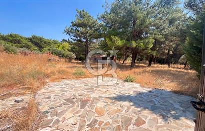 İZMİR BORNOVA ÇİÇEKLİ SINIRINDA | 4.368 m² TEK TAPU ZEYTİNLİK | 160 m² NUMARATAJLI YAPI | ÇİFT KADASTRO YOL CEPHELİ PRESTİJLİ YATIRIM
