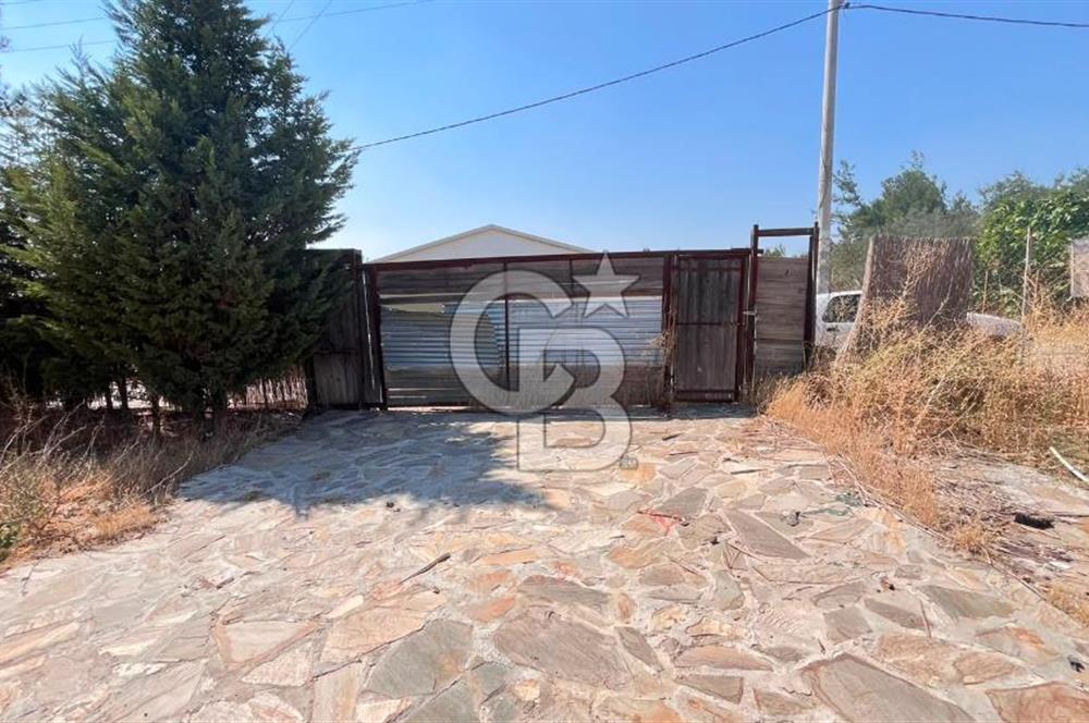 İZMİR BORNOVA ÇİÇEKLİ SINIRINDA | 4.368 m² TEK TAPU ZEYTİNLİK | 160 m² NUMARATAJLI YAPI | ÇİFT KADASTRO YOL CEPHELİ PRESTİJLİ YATIRIM