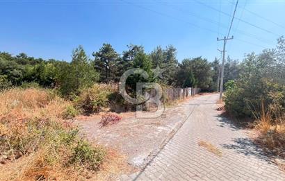 İZMİR BORNOVA ÇİÇEKLİ SINIRINDA | 4.368 m² TEK TAPU ZEYTİNLİK | 160 m² NUMARATAJLI YAPI | ÇİFT KADASTRO YOL CEPHELİ PRESTİJLİ YATIRIM