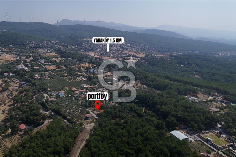 İZMİR BORNOVA ÇİÇEKLİ SINIRINDA | 4.368 m² TEK TAPU ZEYTİNLİK | 160 m² NUMARATAJLI YAPI | ÇİFT KADASTRO YOL CEPHELİ PRESTİJLİ YATIRIM