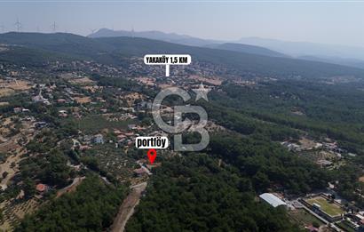 İZMİR BORNOVA ÇİÇEKLİ SINIRINDA | 4.368 m² TEK TAPU ZEYTİNLİK | 160 m² NUMARATAJLI YAPI | ÇİFT KADASTRO YOL CEPHELİ PRESTİJLİ YATIRIM