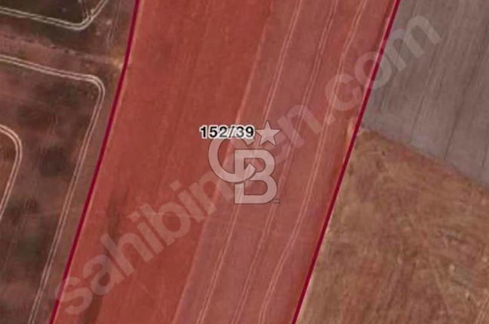 TEMELLİDE DEĞER KAZANAN BÖLGEDE YATIRIMLIK TARLA