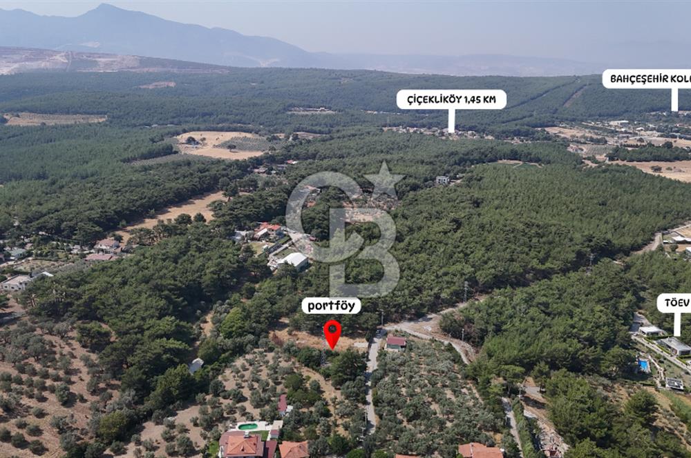 İZMİR BORNOVA ÇİÇEKLİ SINIRINDA | 4.368 m² TEK TAPU ZEYTİNLİK | 160 m² NUMARATAJLI YAPI | ÇİFT KADASTRO YOL CEPHELİ PRESTİJLİ YATIRIM